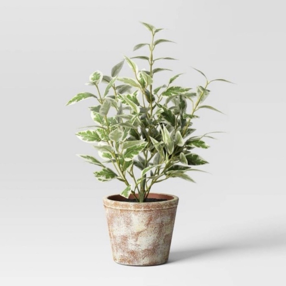 Studio McGee Variegated Ficus Artificial Plant 15” - Threshold Target